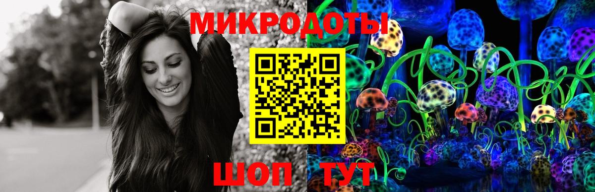 Псилоцибиновые грибы прущие грибы Дедовск